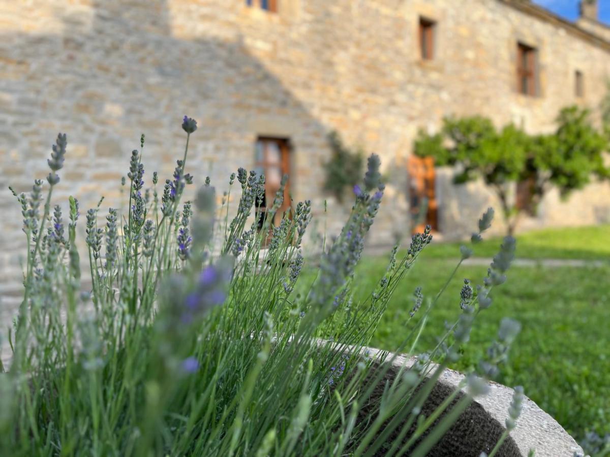 La Abadia Guest House Coscojuela de Sobrarbe ภายนอก รูปภาพ